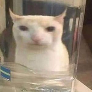 Meet your Posher, Long